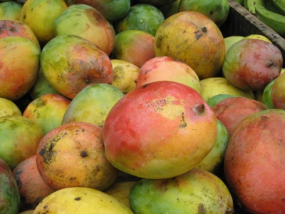 Mangos