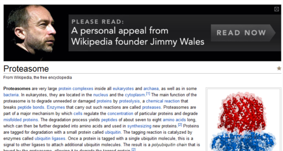 Jimmy Wales, Founder of Wikipedia